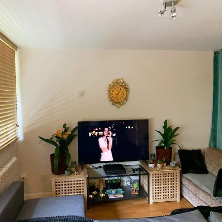 Garden Beautiful Cozy Flat , Recent Decorated. Apartment London Ngoại thất bức ảnh