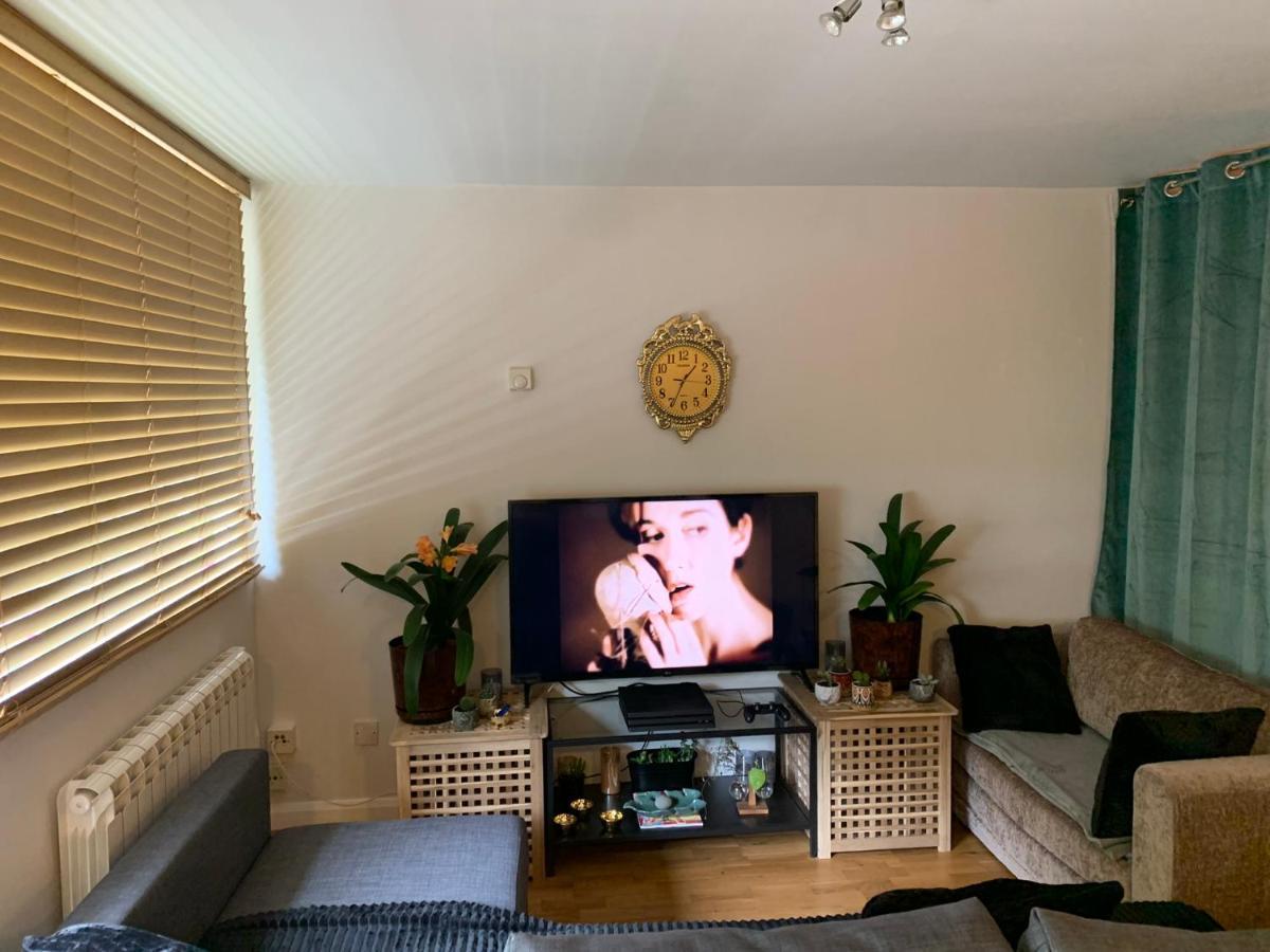 Garden Beautiful Cozy Flat , Recent Decorated. Apartment London Ngoại thất bức ảnh