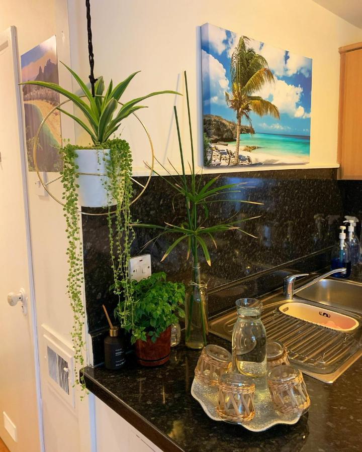 Garden Beautiful Cozy Flat , Recent Decorated. Apartment London Ngoại thất bức ảnh